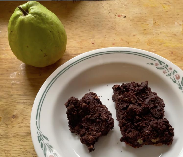 Guava Black Bean Brownies